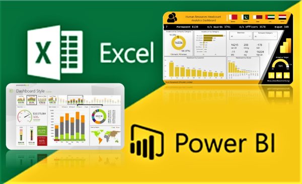 Certified MS Excel & Power BI Professional Program - Karachi